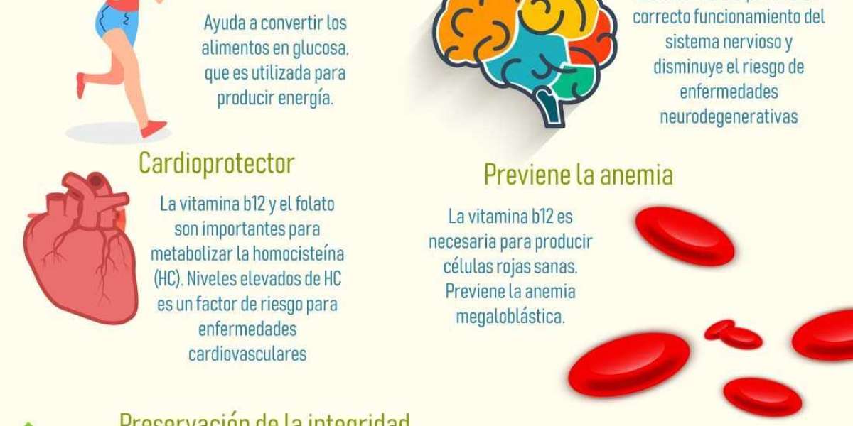 Ruda: propiedades, para qué sirve y contraindicaciones Guía completa