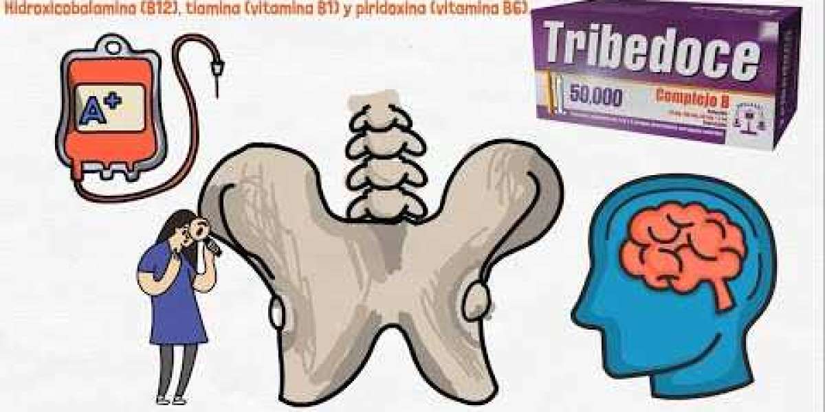 Guía completa de cuidados de la ruda: todo lo que necesitas saber - Plantasmanía