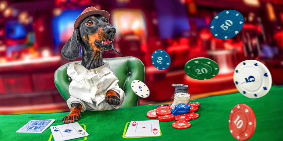 Discover the Greatest Casino Websites with Aron's Blog