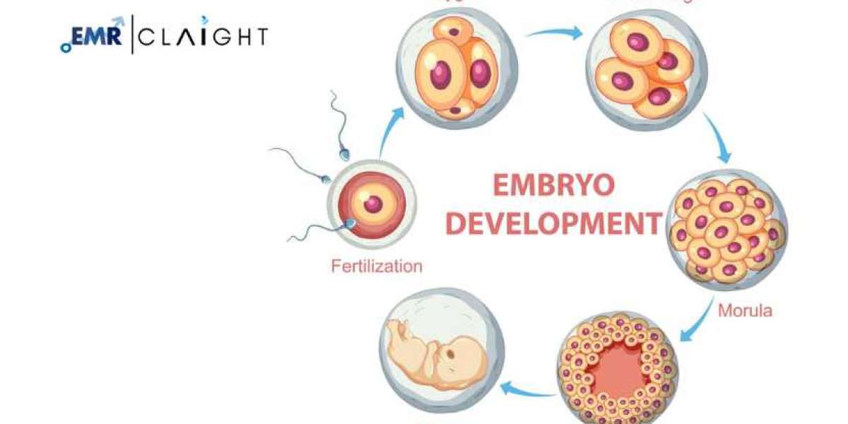 Global Human Embryonic Stem Cell Market: Industry Growth & Revenue Forecast | 2034