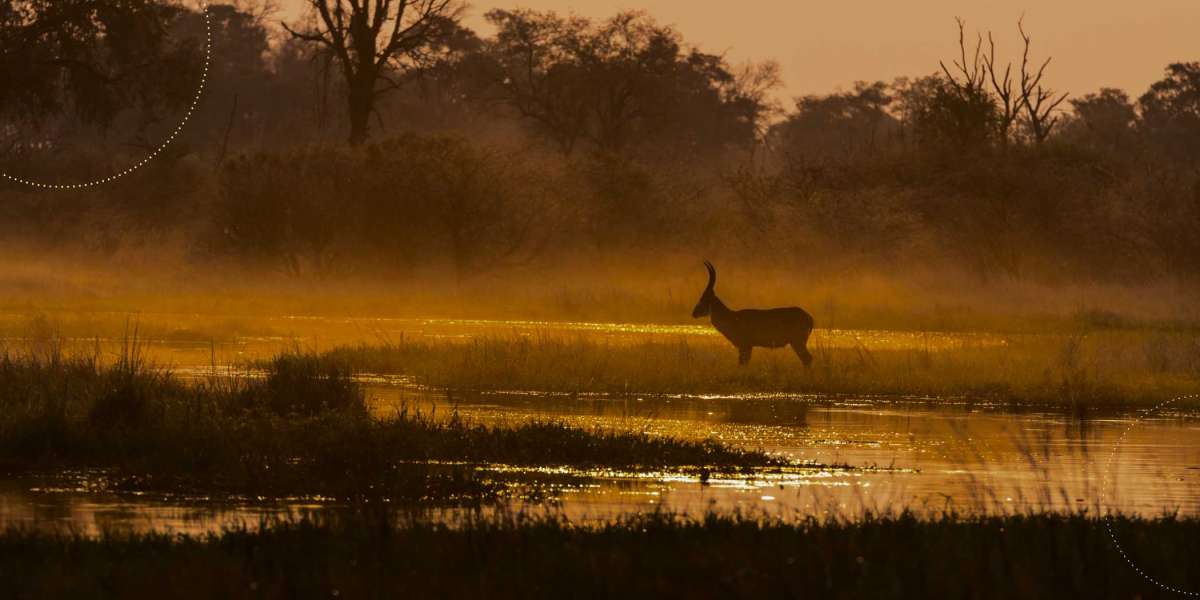 Just Tigers and Golden Triangle Tour