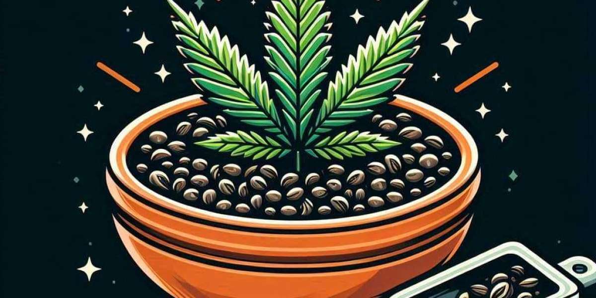 Jack Herer Marijuana: A Frosted Legend in Cannabis Culture