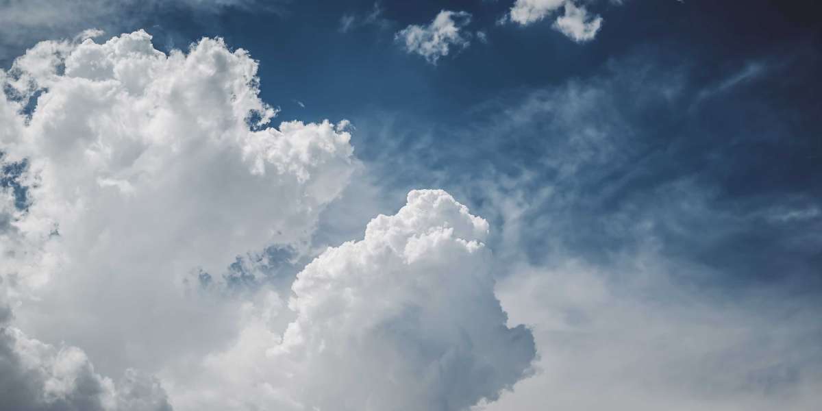 Unveil the Secret to Shielding Your Vehicle from Wind Hazards: Discover Game-Changing Solutions!