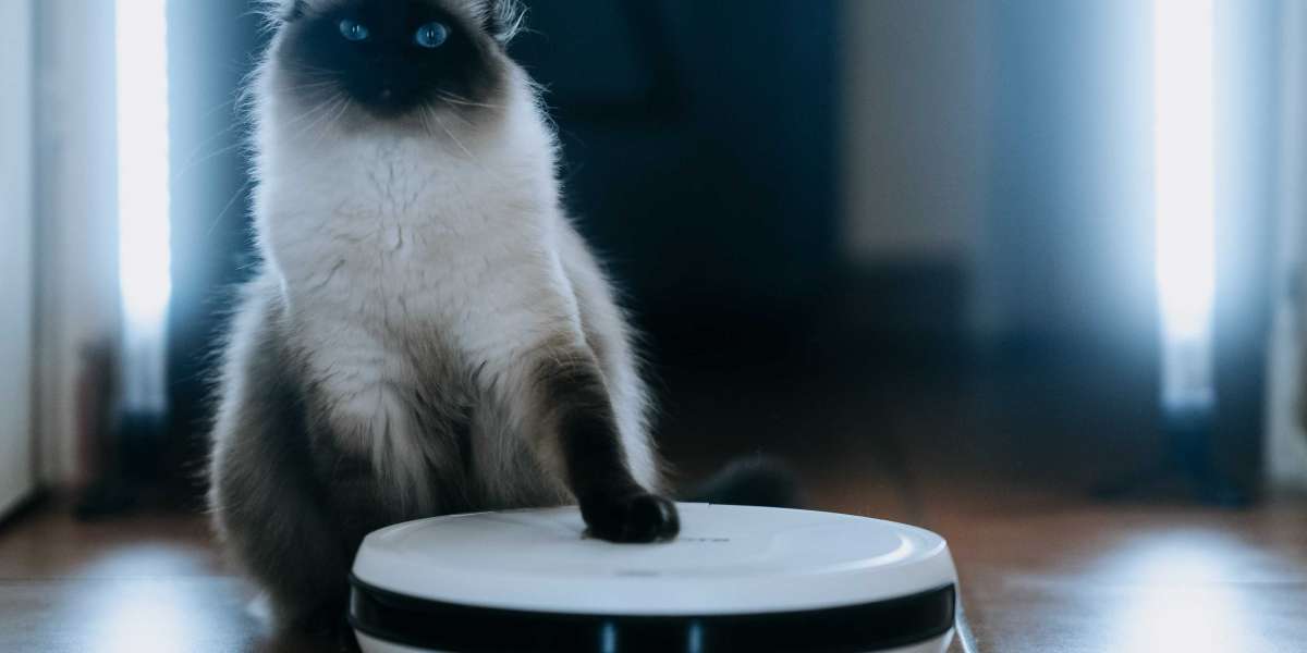 5 Killer Quora Answers To Self Cleaning Vacuum