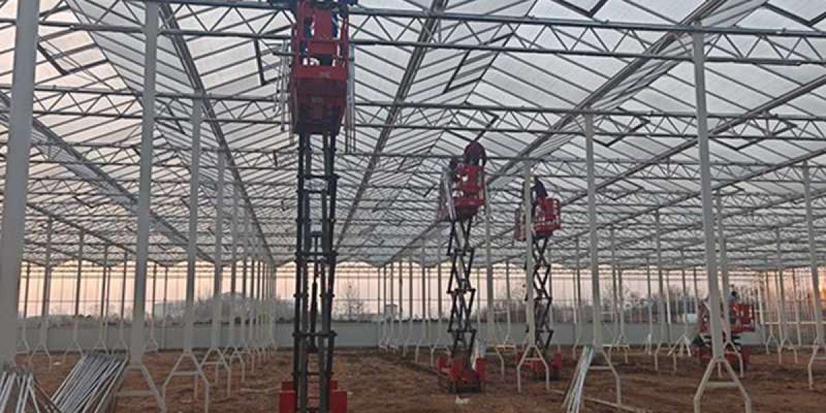 Best Roof and Covering Options for Steel Frame Greenhouses