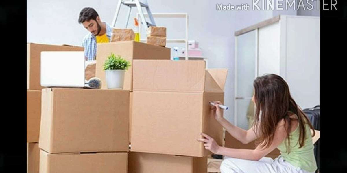 Moving Company Hawthorn: Your Trusted Local Movers for a Stress-Free Relocation