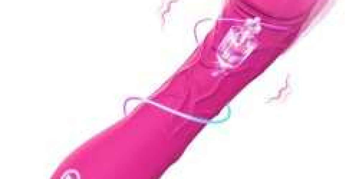 bat neck collar nr685