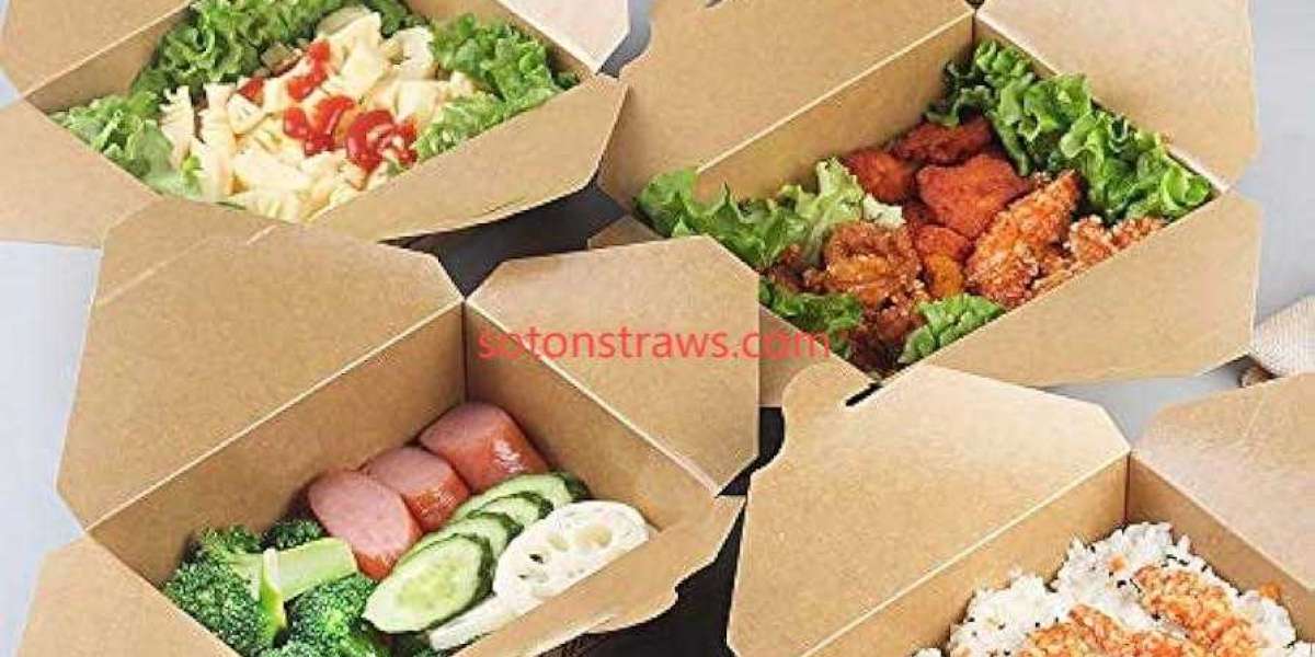 Soton's Earthcraft: Revolutionizing with Disposable Kraft Box