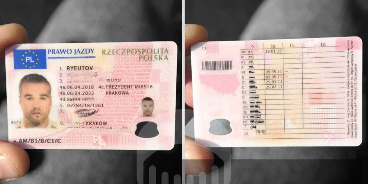 Why Buy Driving License Category B Is The Next Big Obsession