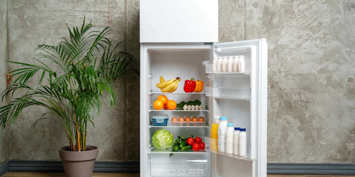 Why Best Fridges UK Is Still Relevant In 2024