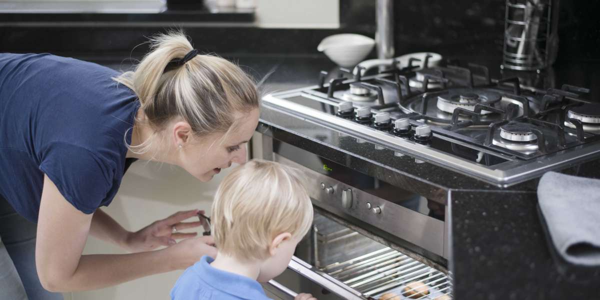 20 Fun Informational Facts About Ovens Built In